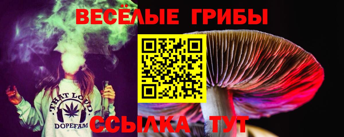 Галлюциногенные грибы Psilocybe  Псилоцибиновые грибы MAGIC MUSHROOMS  Вход с VPN  Когалым 