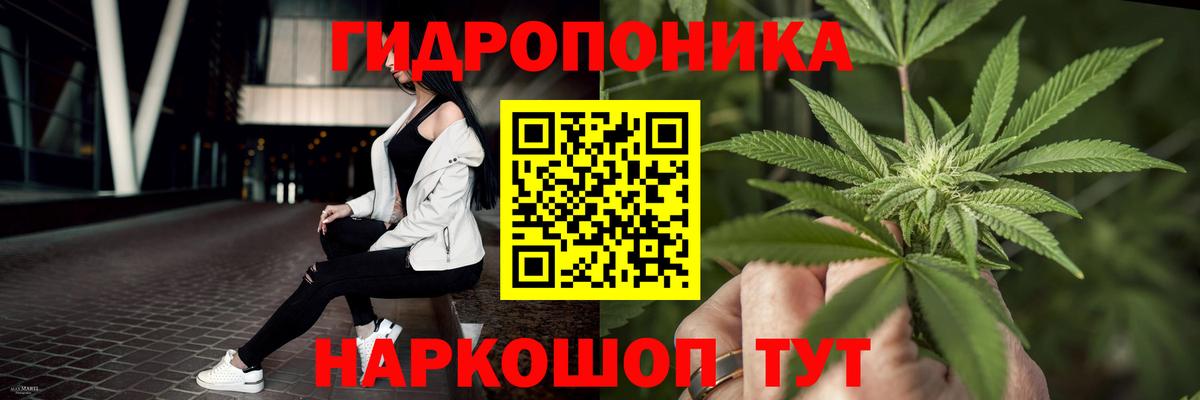 Каннабис семена Когалым